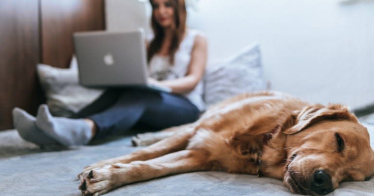 Why Covid impacted property prices so much