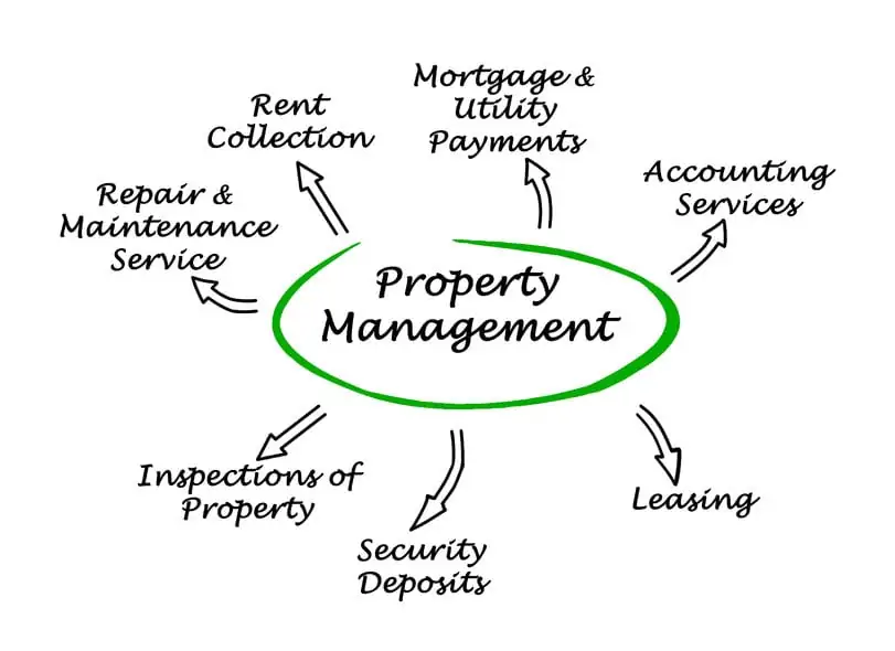 Property Management fees and letting fees